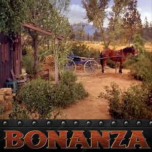 13K views · 991 reactions | Bonanza Season 7 Episode 22 - Three Brides for Hoss - P1 | Bonanza Forever | Facebook