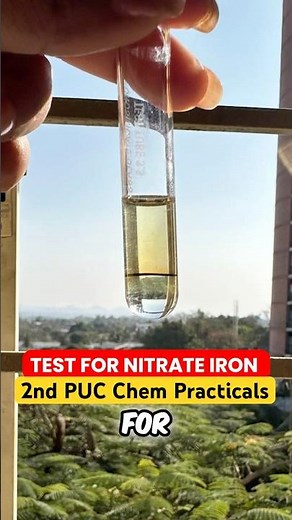 Nitrate Ion Test 🔬 | 2nd PUC Chemistry Practical Experiment ⚡