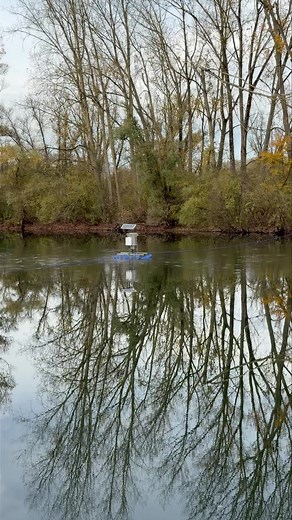 Keep on feeding 💪💪. Carplakes.com #metz #carplakes #carplife #carplakesmetz #lookatme #fishlover #carpfishinguk #angler #winnerwinner #nature #feeding #feedingtime | Carp Lakes Metz