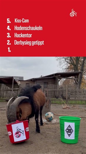 Top 5 video moments of hers 🐐😅 #effzeh #hers #GOAT
