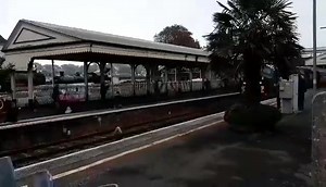 5K views · 55 reactions | Great Rocks 37668 in Paignton today. | Spotted Torquay | Facebook