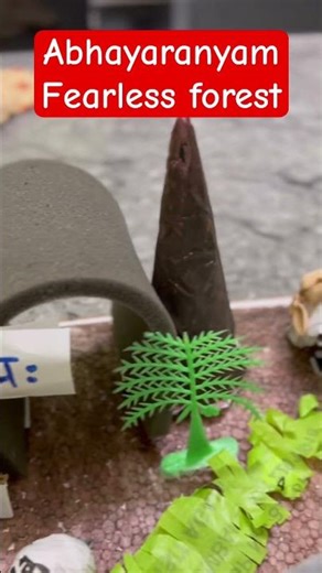 Simple Idea for kids model preparation- forest theme by Prakarsha #nature #model #creativekids