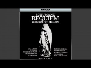 1. Requiem Op.148: IX. Benedictus - Agnus Dei