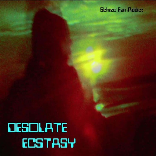 Schizo Fun Addict - Desolate Ecstasy