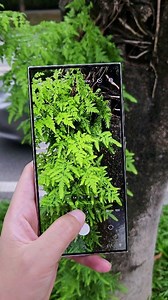 8.1K views · 25 reactions | Samsung ranks first in global sales. This transparent M13 screen plays an important role and coupled with the 5x optical zoom, it is really an immersive experience. #Samsung digit #digit Technology #Samsung official reprinted phone | Trendy Tech Review | Facebook