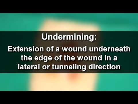 How to Measure Wounds With High Accuracy: Tools & Techniques