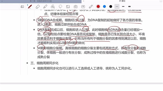 30.细胞周期与细胞分裂