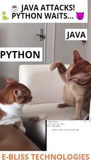 🐱☕ Java vs Python Be Like... 😂 | Hello World Revenge! #funny #helloworld