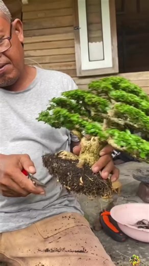 Delicious and Amazing Fruits ASMR Experience