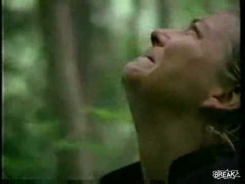 Hippies - Crying Over Dead Trees