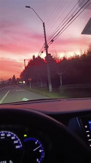 Discover Paraty: Unique Facts and Heartfelt Moments