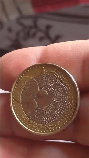 turtle coin 🐢 loggerhead turtle 😍