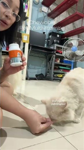 Vitamins na madaling ioffer sa mga pusa