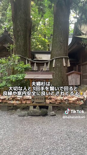 高千穂観光の最高モデルコース紹介✨