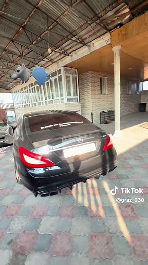 Discover Graz's Unique Culture and Events