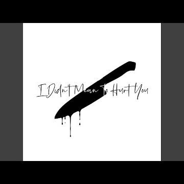 I Didn't Mean To Hurt You