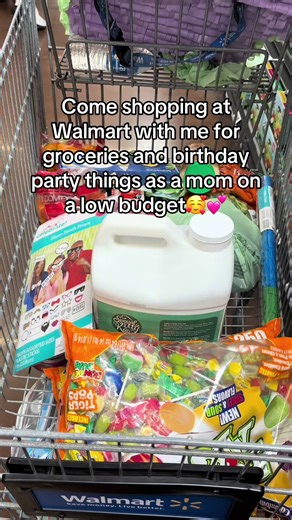 Shopping on a Budget: Walmart Grocery Haul with Kids