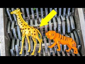 Shredding Jungle Animals! What's Inside???