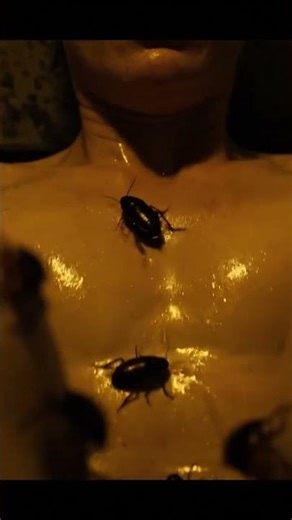 Crawling Shadows | Realistic Roach Scene in Slow Motion