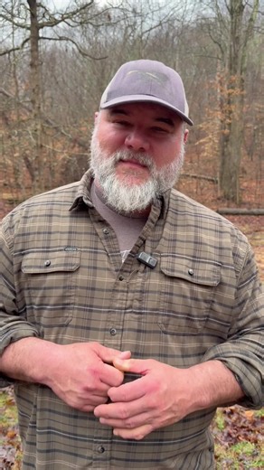 3 Birds to Identify This Spring