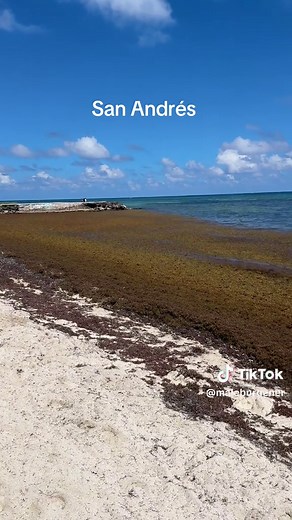 Último día en San Andrés: Aventura y Sargazo