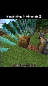 Illegal Minecraft Moment 💀