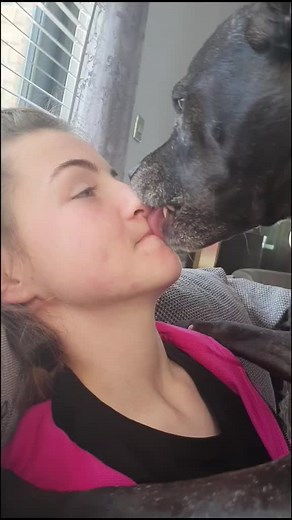 Do Dogs Like When You Kiss Them? Understanding Canine Affection