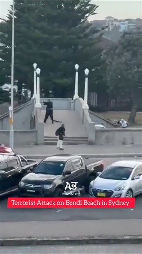 AMBARSAR WALE❤️ on Instagram: "Te'rror Attack in Sydney"