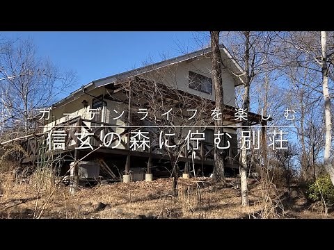 北杜市高根町、静かな森の中に佇む別荘地の物件