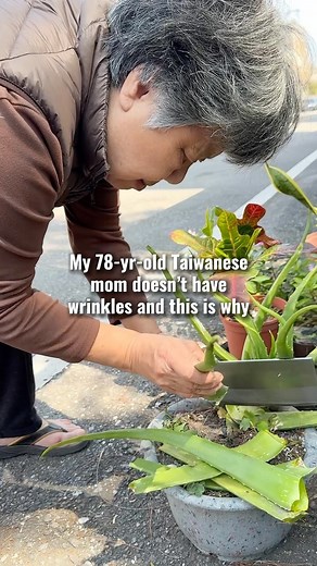 38K views · 16 reactions | ✨Health benefits of aloe vera✨ 1....