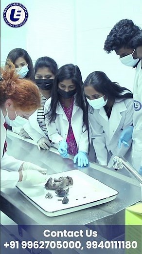Cadaver Lab in Georgia | European University | MBBS in Georgia | Study MBBS Abroad | Medical College