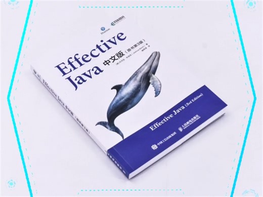 《Effective Java中文版（原书第3版）》
