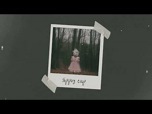 sippy cup instrumental (slowed | reverb | muffled)