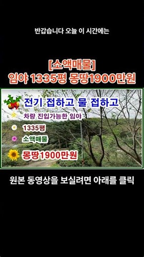 [Affordable Property] Forest land you can buy for cheap, with electricity, water access, and vehi...