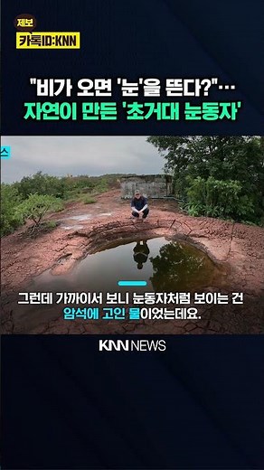 "Thought it was a dinosaur's eye"... What is the mysterious giant 'eye' found on a rock? / KNN