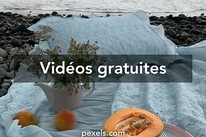 Moyra+melons vidéos de stock libres de droits