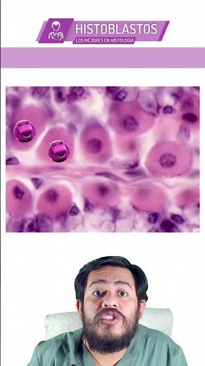 HISTOLOGY | H&E STAINING | Hematoxylin and Eosin in Routine Histology Technique