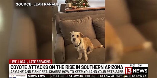 Tucson woman speaks out after dog killed in coyote attack