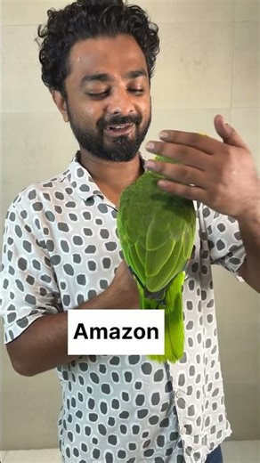 What would u choose? An African grey or an Amazon parrot.#birds #exoticbird