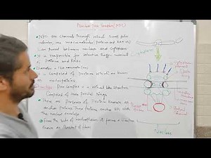 Nuclear Pore Complex