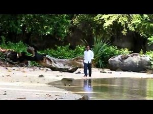 Pacific Islander Gospel - A Brighter Day - Solomon Island Young Faith -