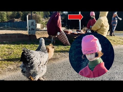 A place where chickens can't get close