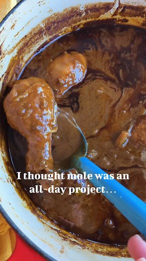 I used to think mole was an all-day project… until I started making it like this 🫶 This chicken mole still has that deep, cozy, complex flavor, but without the ‘cook all day’ energy. I blend the sauce, simmer it, then let the chicken finish right in the pan so it soaks up every bit of flavor. Comment ‘mole’ and I’ll DM you the recipe link. #chickenmole #mexicanfood #weeknightdinner #mexicanrecipes | Hola Jalapeño Recipes