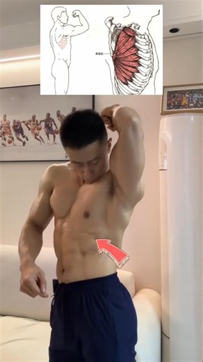 How to improve the Q experience of upper limb training with fitness tips? #viral #shorts #fyp