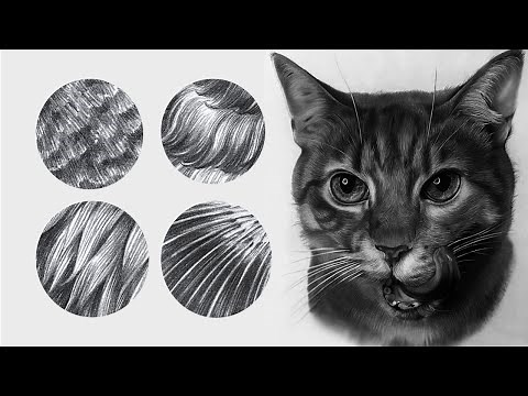 Draw Cat Fur - How to Draw Realistic Fur for Beginners [ Fur Tutorial ]