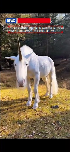 Is This Proof Unicorns Exist? | Realistic Footage That Shocked Everyone #shortvideo #viral