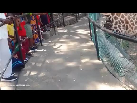 Unforgettable School Trip Adventure