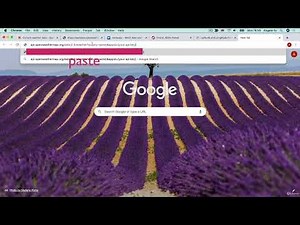 Using API Keys to Authenticate and Get the Weather from OpenWeatherMap The Complete Python Pro