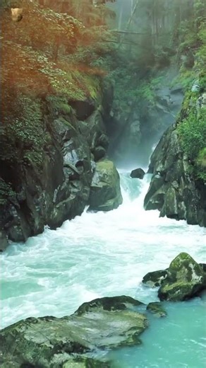 Nature’s Colors in Motion 🌈🍃 | Relaxing Visuals #NatureVibes #shortsvideo