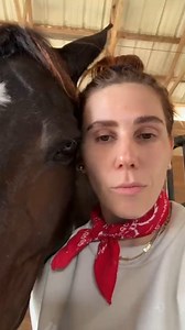 Danny Sangra on Instagram: "NOV 2024 / Film diary read by @zosiamamet #dannysfilmdiary Last month the film highlight was Anora. It felt like Pretty Woman meets Good Time with vapes. The Apprentice was better than I expected (even had ‘Ghost Rider’ on the soundtrack). The Roy Andersson short World of Glory was perfect as per. The Color of Money is always 👌🏽 as are the dolly zooms. Rohmer always has some of my favourite framing My Night at Maude’s make no exception. Zosia has one of my favourite